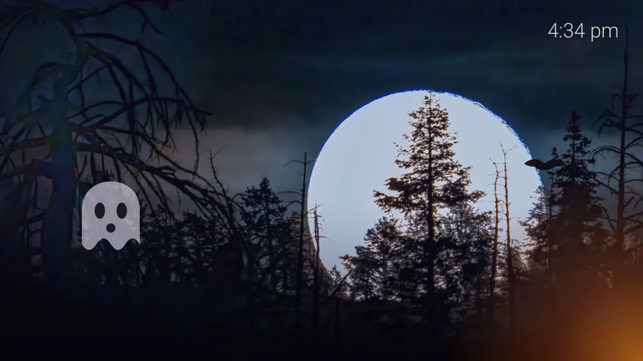 The Haunted screensaver on a real TV: a full moon behind dark trees, a ghost floating up on the left, a bat flying across and a small clock