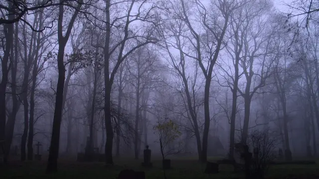 Old cemetery in the fog